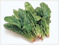 ほうれん草